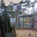 김삿갓 | 김삿갓밥집 솔직후기｜남양주 한정식 맛집 추천, 남양주 화도읍 맛집