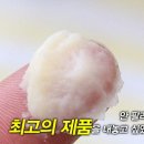 달리헤어 이미지