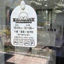 퐁실하개 이미지