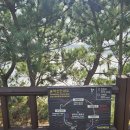 상모리-25 이미지