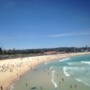 개를 위한 하루 | [2025 호주] 여름 시드니여행 본다이비치 "수영인을 위한" 수영 하루코스 개큰추천