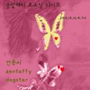 도그스타 이미지