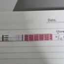 이지은산부인과의원 이미지