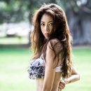 정다래 카카오 검색결과