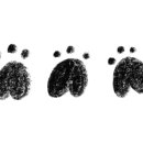 더블유PC 이미지