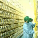 ㈜오리엔트바이오 이미지