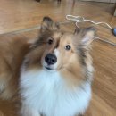 아이봄동물병원 이미지