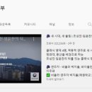 유튜브 채널 운영 및 관리 이미지