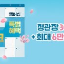 한국인삼공사정관장정관