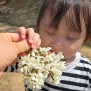 (주)오월에숲