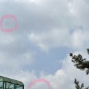 멍스토어 | 아이폰 카메라 멍 무상수리 후기 (가능 기간, 애플스토어 예약)