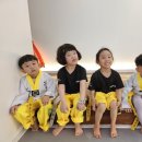 청룡태권도장 이미지