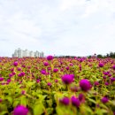 만물농원 이미지