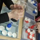 실버융합놀이 이미지