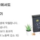 밸런스펫츠 이미지