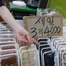 원만쥬벌판 이미지