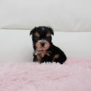 오목교역 6번출구 이미지