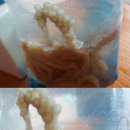 해신수산 이미지