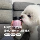 강아지 거위소리 종합영양제 울애기쌩쌩 이너플러스 기관지 후기