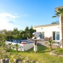 애슬로우 이미지