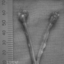 이호동물병원 이미지