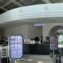 번패티번강릉 이미지