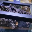 숲속작은개울 이미지