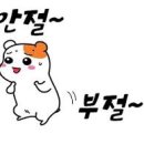 호텔레스트 이미지