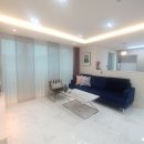 리젤펠리스APT 이미지