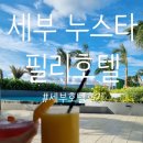 호텔태그(Hotel Tag) | 세부 필리호텔 누스타(Fili Hotel NUSTAR) 디럭스 씨뷰 내돈내산 1박 후기 (조식, 수영장, 망고쉐이크)