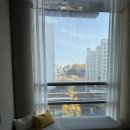 강남피부과의원 이미지