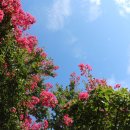 고려동유적지 이미지