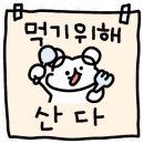 불이아종로 이미지