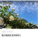 로즈하우스민박 이미지