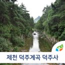 정금사 | 제천 덕주계곡 여름엔 계곡에서 놀자!