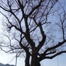 군북전천후게이트볼장 이미지