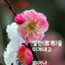 가가동물원 이미지