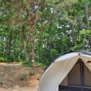 오토오아시스 홈플러스 파주문산점 | 경기도 파주 은사시힐링캠핑장/20200606