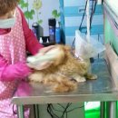 멍멍이랑 사랑하기 이미지