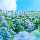 만남목장 이미지