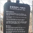 만추관목 | 개화산(2015.11.21)주위 산경이 아름다웠고 만추의 느낌도 들었던 산행~