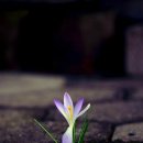 용산스마트공인중개사사무소 이미지