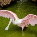 건강 셀프마사지 이미지