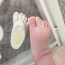 도담약품 | (내돈내산) 도담베이비 손발조형물 + 탯줄