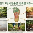 자연과치유 이미지