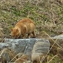 외간체육공원 이미지