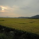 코스모스PC 이미지