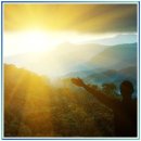 강변의 숲속 | 강변 캠핑 후기 이곳에서 특별한 시간을 보냈어요