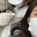 비산로-13 이미지