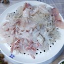금보 티스토리